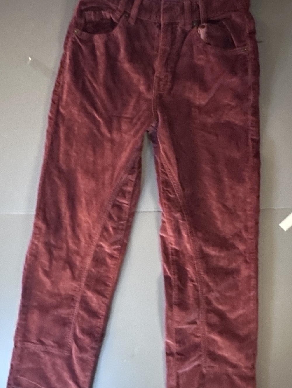 Free People We The Free Y2K Corduroy Pants in Burgundy, Size 26